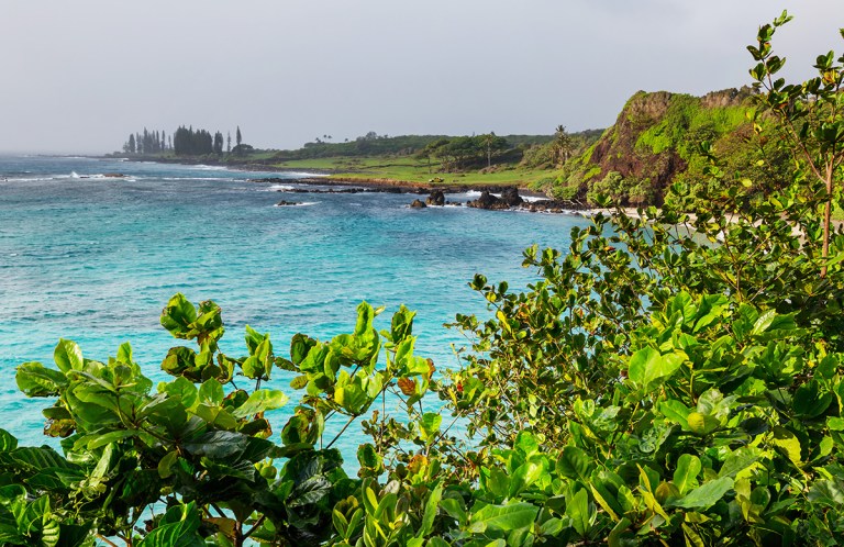 maui JFG42B5 768x498